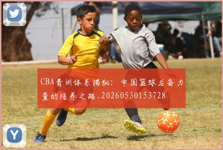 CBA青训体系揭秘：中国篮球后备力量的培养之路_20260530153728